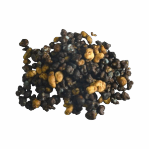 Sesso sulla spiaggia tartufo - corsa mentale