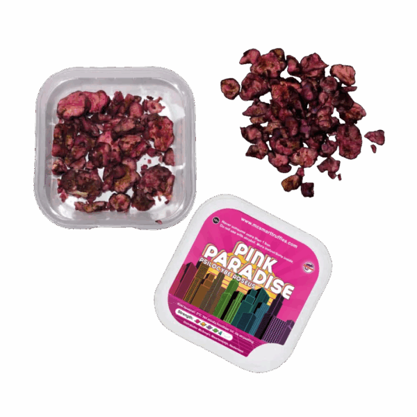 Truffes magiques Pink Paradise sorties de leur emballage – sclérotes de psilocybine frais