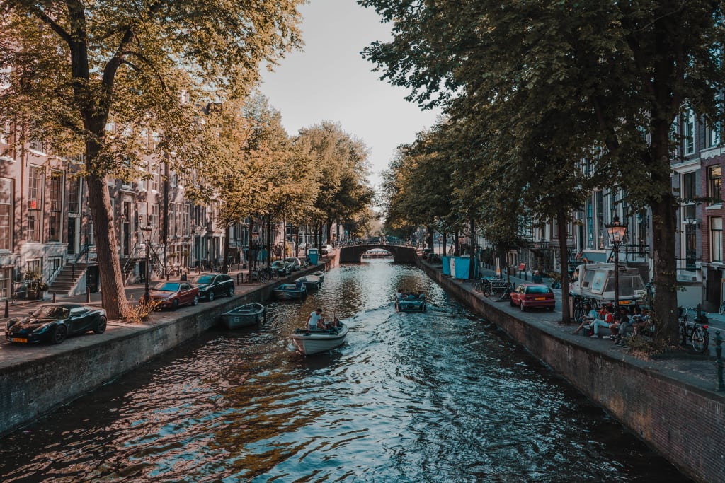 Magic Truffles amsterdam
