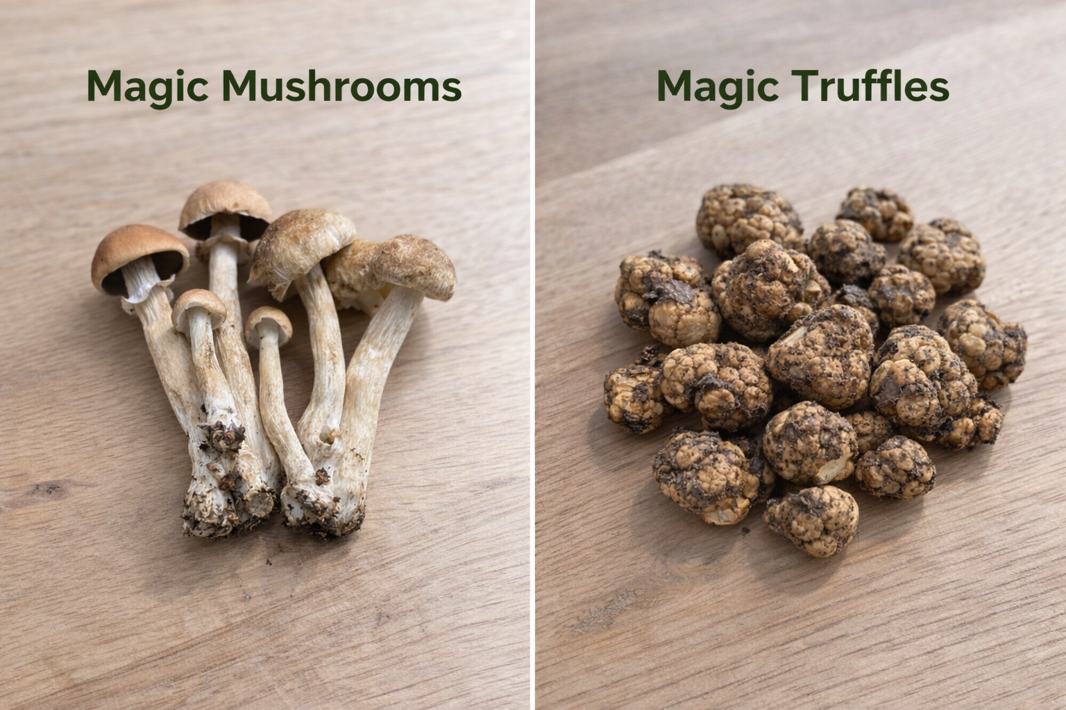 Zauberpilze vs. Zaubertrüffel