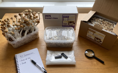How to Choose the Right Magic Mushroom Grow Kit: 2026 Buyer’s Guide