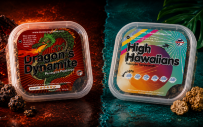 High Hawaiians vs Dragons Dynamite: Which Strong Truffle Should You Choose?