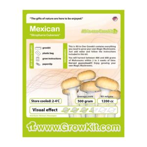 Mexican Magic mushrooms grow kit 1200cc information label