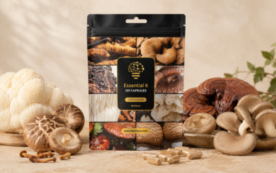 Mushroom Supplements: What to Look For When Buying