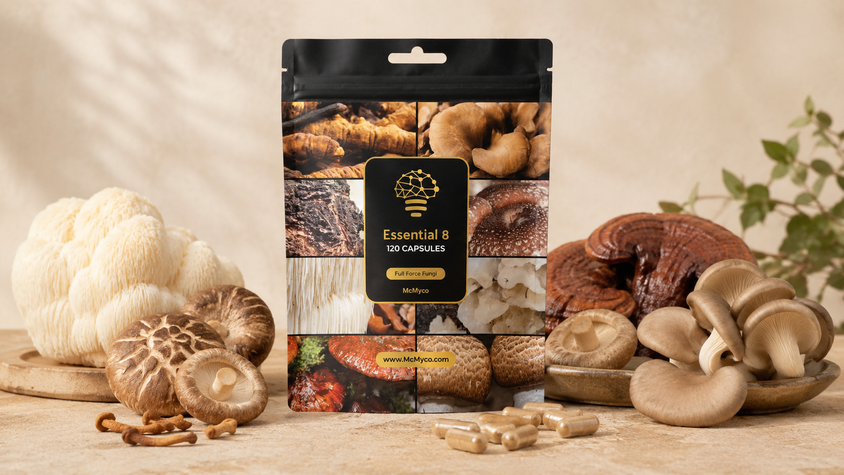 Mushroom Supplements: What to Look For When Buying How to choose a mushroom supplement. What extract ratios, beta-glucans and ingredient labels actually mean, the questions worth asking, and how to compare on price.